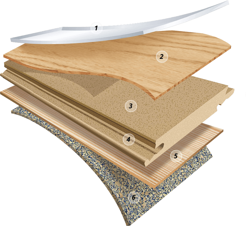 HardWood construction layers