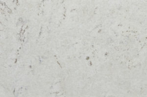 Burl African Ivory swatch