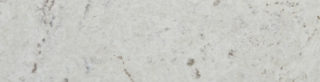 Burl African Ivory swatch
