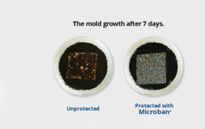 Mold Growth with/without Microban