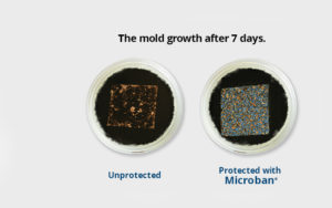 Mold Growth with/without Microban