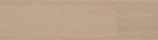 Arcadian Oak swatch
